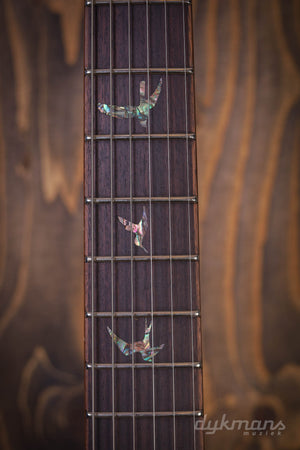 PRS SE Pauls Gitarre Bernstein