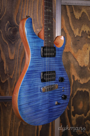 PRS SE Pauls Gitarre Bernstein