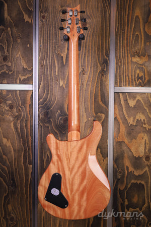 PRS SE Pauls Gitarre Bernstein