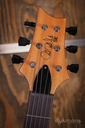 PRS SE Pauls Gitarre Bernstein
