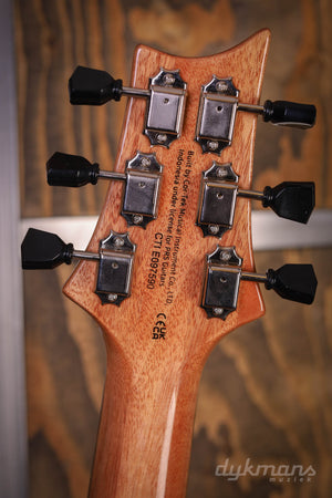 PRS SE Pauls Gitarre Bernstein