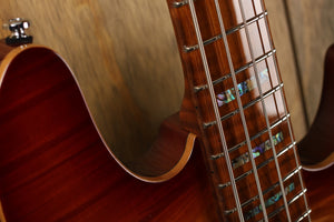 Vater Marcus Miller V10+ S4/TS