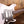 Ibanez AZ2204N AWD Prestige Antique White
