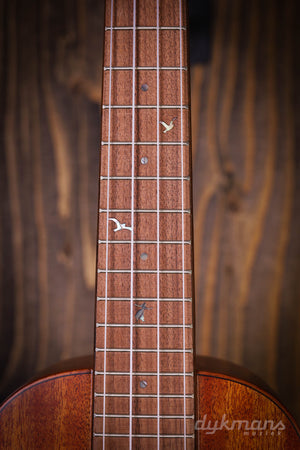 Leho Konzert-Ukulele Koa LHUC-ASKOA-LMT