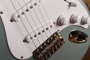 PRS Silver Sky Polar Blue Maple Griffbrett