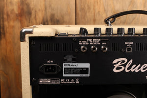 Roland Blues Cube-Künstler