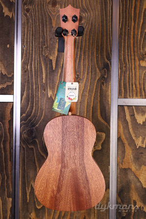 Martin T1 FSC Tenor-Ukulele