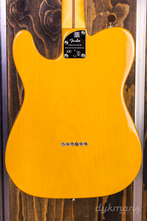 Fender American Pro II Tele BTB