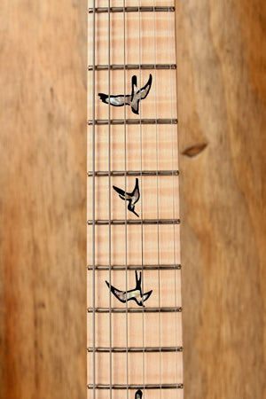 PRS Wood Library Custom 24 Blue Fade (Limitiert) #0310629