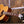 Epiphone USA Texan Antik Natur