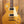 Epiphone Les Paul Standard 50er Metallic Gold