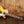 Epiphone Les Paul Standard 50er Metallic Gold