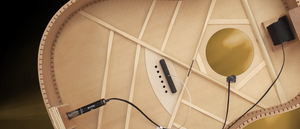 LR Baggs EAS Element Aktivsystem